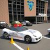 car parking 3d: police cars