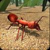 fire ant simulator