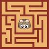 maze cat - rookie