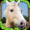wild horse simulator
